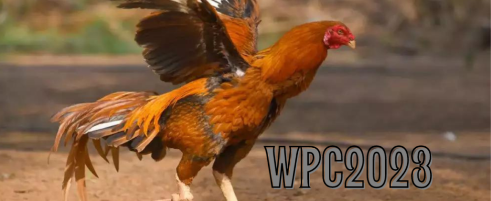 wpc2023