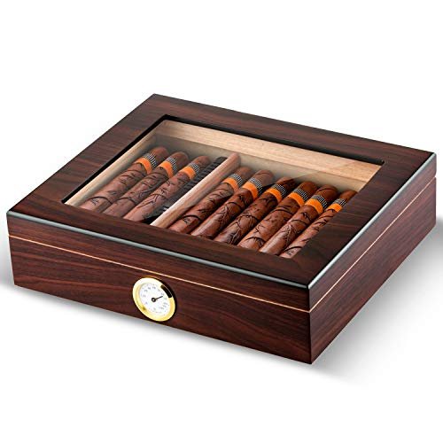 What is Relative Humidor and What is Best For Your Cigars?