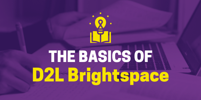 Everything You Need to Know About D2L MNSU at Minnesota State University