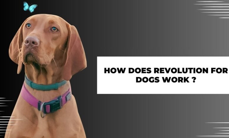 How does revolution for dogs work?