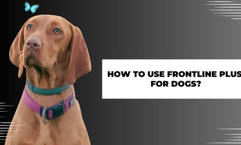 How to Use Frontline Plus for Dogs?