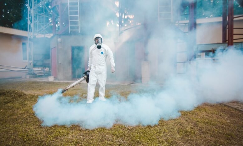 Fumigation Services in Islamabad Guide pest control services