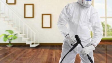 Guide Pest Control Effective Strategies and Bed Bug Treatment