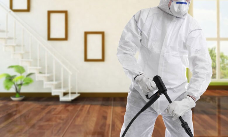Guide Pest Control Effective Strategies and Bed Bug Treatment
