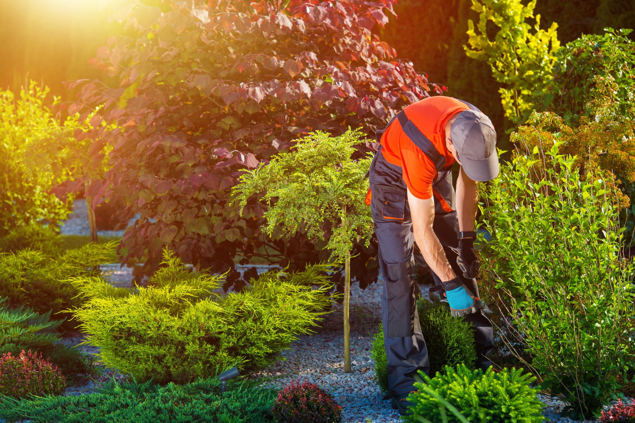 Commercial Landscape Services Fort Collins CO