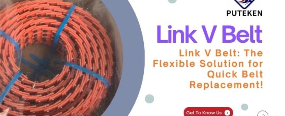 Link V Belt