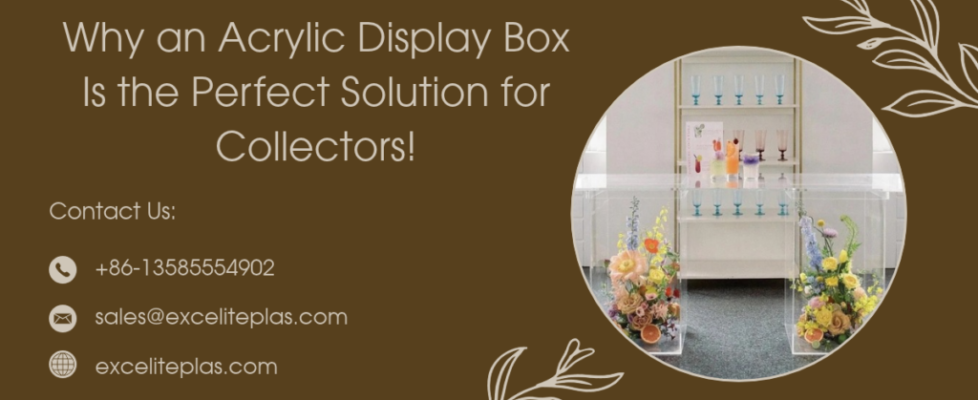 Why an Acrylic Display Box Is the Perfect Solution for Collectors!